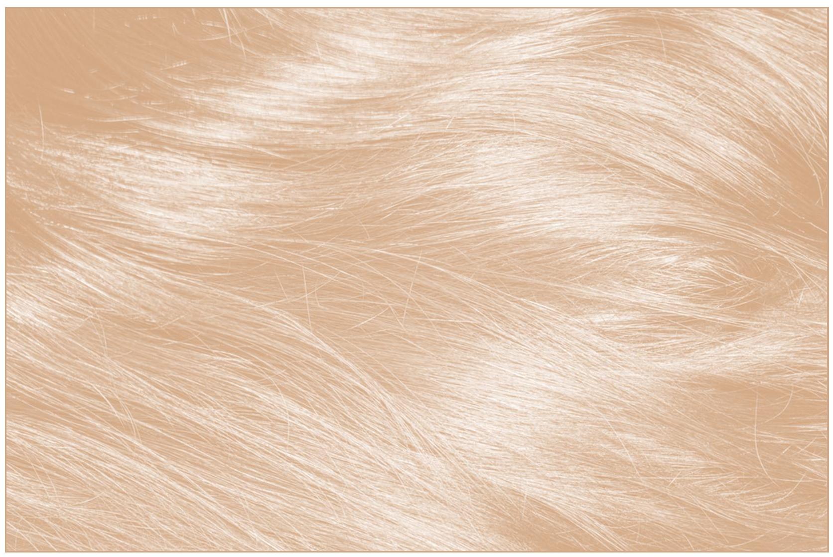 Mane Hair Thickening Fibers with Seal and Shine Combo Pack