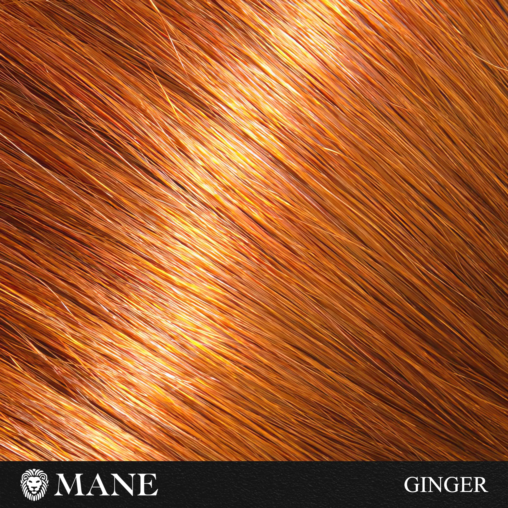 Hair Thickening Fibers (15g) & Spray Applicator