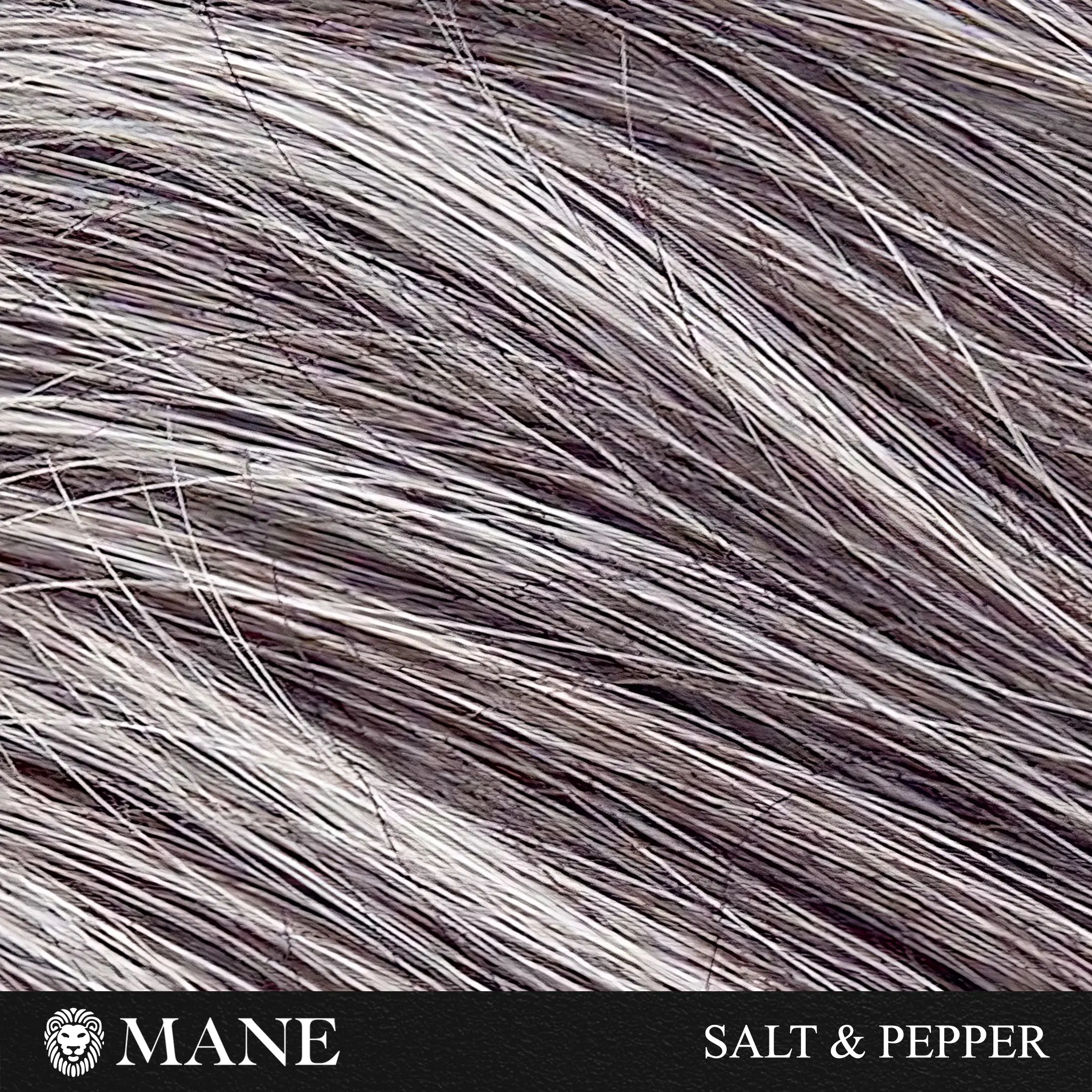 Hair Thickening Fibers (15g) & Spray Applicator