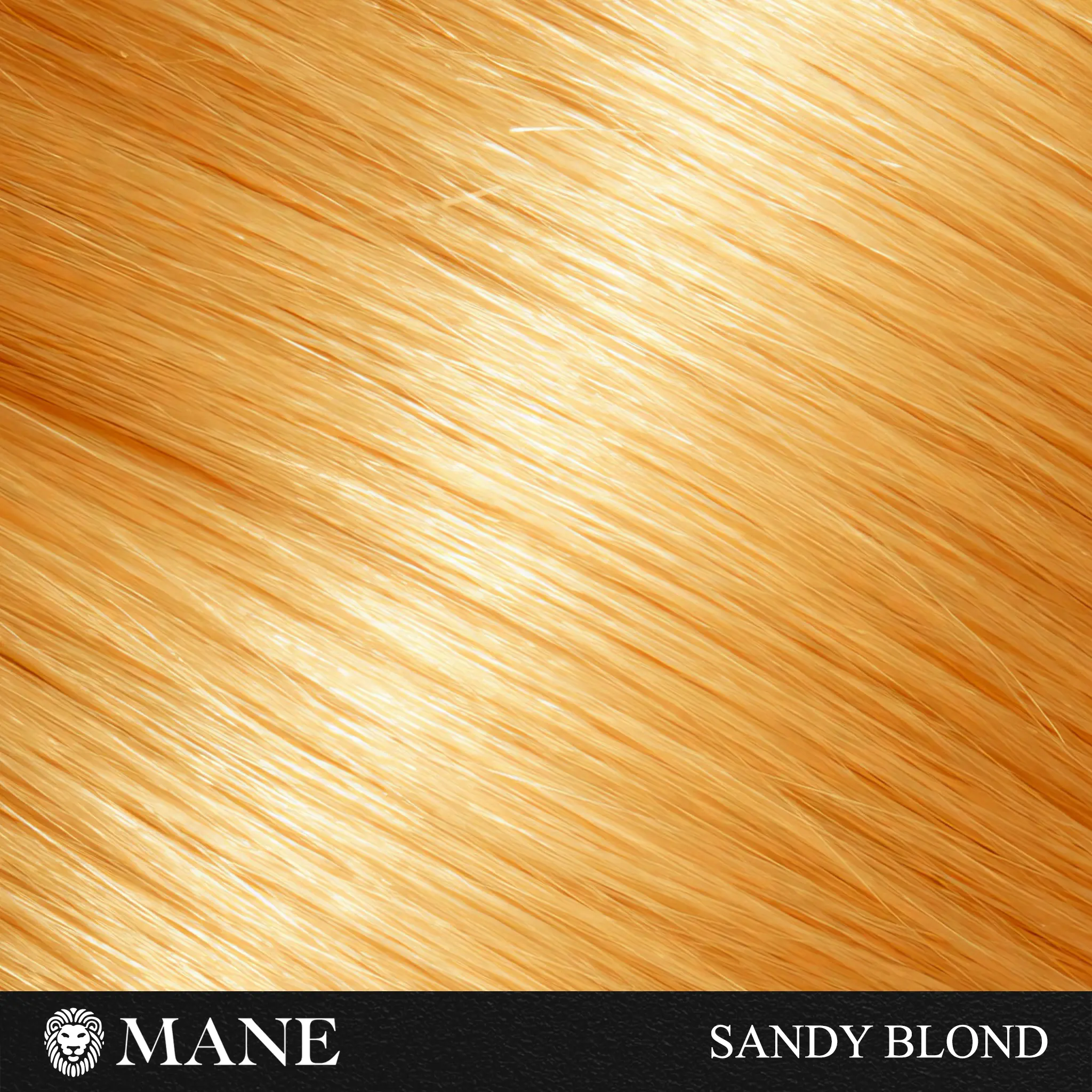 Hair Thickening Fibers (15g) & Spray Applicator
